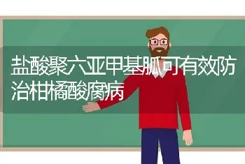 盐酸聚六亚甲基胍可有效防治柑橘酸腐病