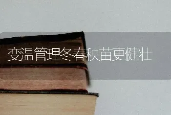 变温管理冬春秧苗更健壮