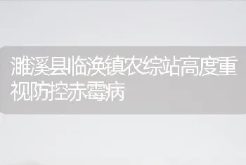 濉溪县临涣镇农综站高度重视防控赤霉病