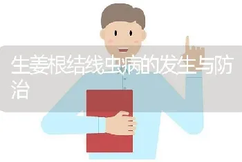 生姜根结线虫病的发生与防治