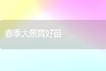 春季大葱育好苗