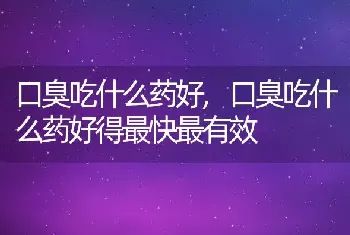 口臭吃什么药好