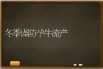 冬季谨防孕牛流产