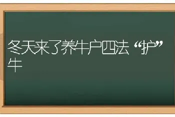 冬天来了养牛户四法“护”牛