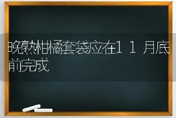 晚熟柑橘套袋应在11月底前完成