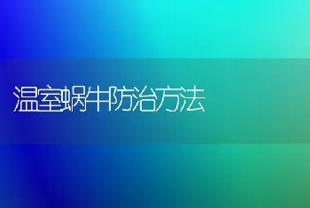 温室蜗牛防治方法