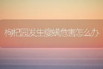 枸杞园发生瘿螨危害怎么办