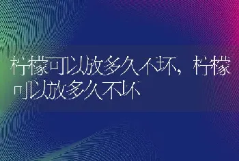 柠檬可以放多久不坏