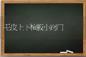 毛皮上下楦板小窍门