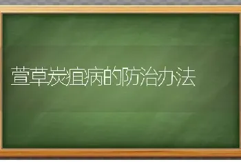 萱草炭疽病的防治办法