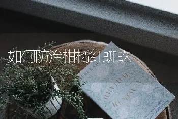 如何防治柑橘红蜘蛛