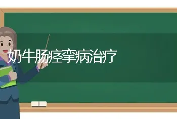 奶牛肠痉挛病治疗