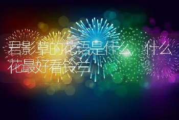 君影草的花语是什么