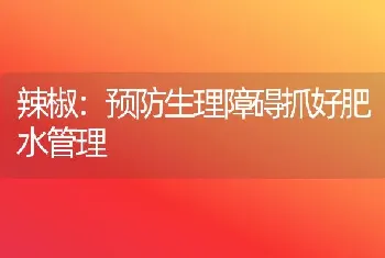 辣椒：预防生理障碍抓好肥水管理