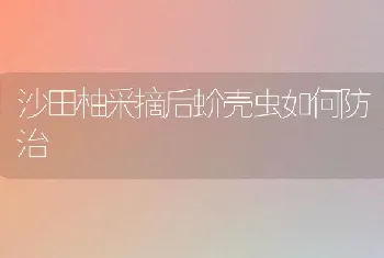 沙田柚采摘后蚧壳虫如何防治