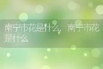 南宁市花是什么