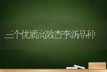 三个优质高效杏李新品种