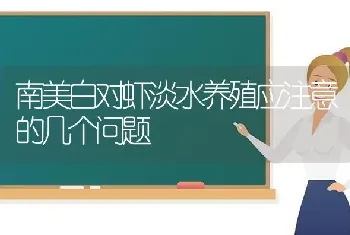 南美白对虾淡水养殖应注意的几个问题