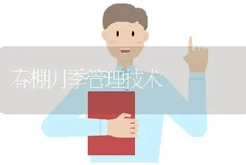 春棚月季管理技术