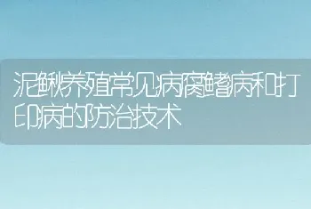 泥鳅养殖常见病腐鳍病和打印病的防治技术