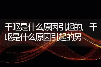 干呕是什么原因引起的