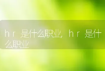 hr是什么职业