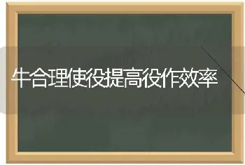 牛合理使役提高役作效率