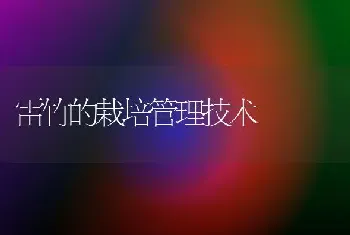 雷竹的栽培管理技术