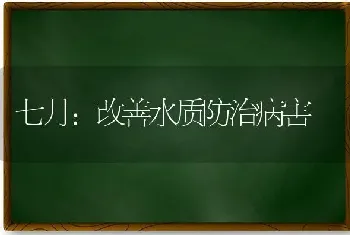 七月：改善水质防治病害