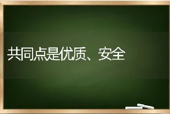 共同点是优质、安全