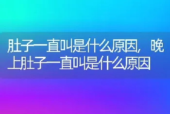 肚子一直叫是什么原因