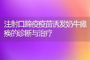 注射口蹄疫疫苗诱发奶牛瘫痪的诊断与治疗