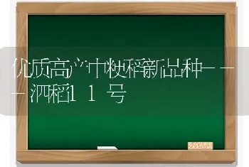 优质高产中粳稻新品种---泗稻11号