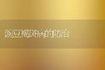 豌豆褐斑病的防治