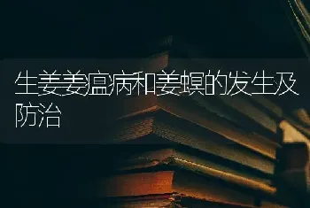 生姜姜瘟病和姜螟的发生及防治