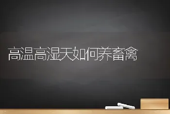 抗虫棉后期管理莫放松