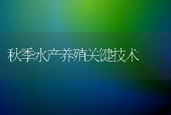 秋季水产养殖关键技术