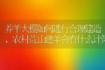 养羊大棚如何进行合理建造