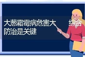 大葱霜霉病危害大  综合防治是关键