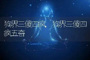 狗界三傻四疯,狗界三傻四疯五奇