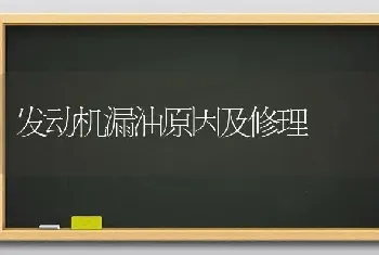 发动机漏油原因及修理