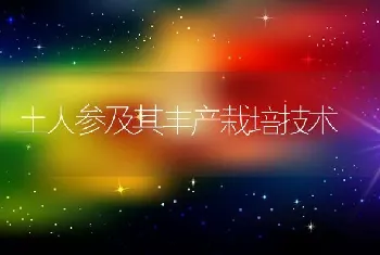 土人参及其丰产栽培技术