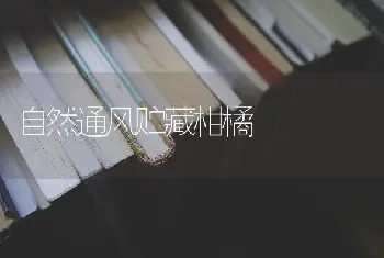 自然通风贮藏柑橘