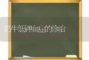 奶牛低钾血症的诊治