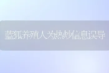 蓝狐养殖人为热炒信息误导