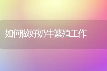 如何做好奶牛繁殖工作