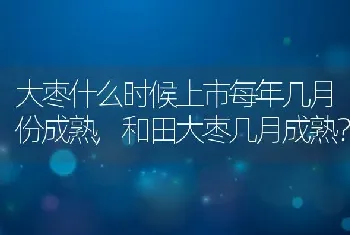 大枣什么时候上市每年几月份成熟