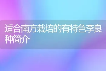 适合南方栽培的有特色李良种简介