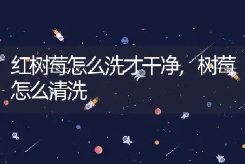 红树莓怎么洗才干净