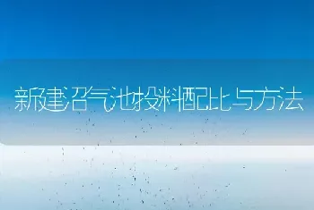 新建沼气池投料配比与方法